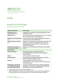 Erweitertes SKOS Budget