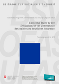 BSV (2016). Explorative Studie zu den Erfolgsfaktoren von Unternehmen der sozialen und beruflichen Integration.